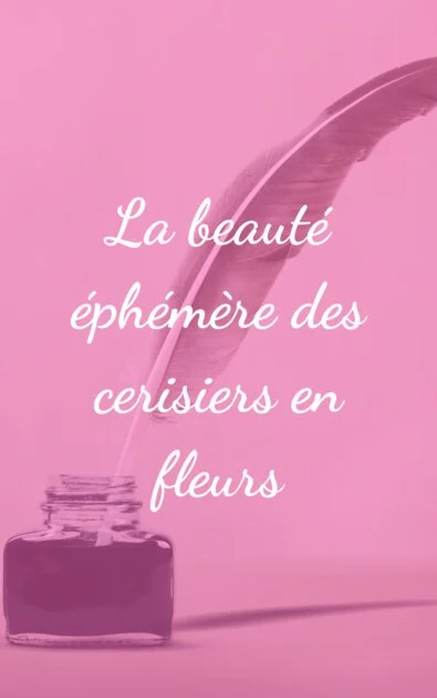 La beauté éphémère des cerisiers en fleurs