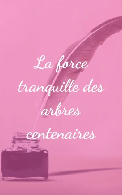 La force tranquille des arbres centenaires