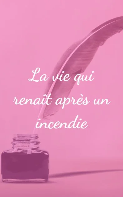 La vie qui renaît après un incendie