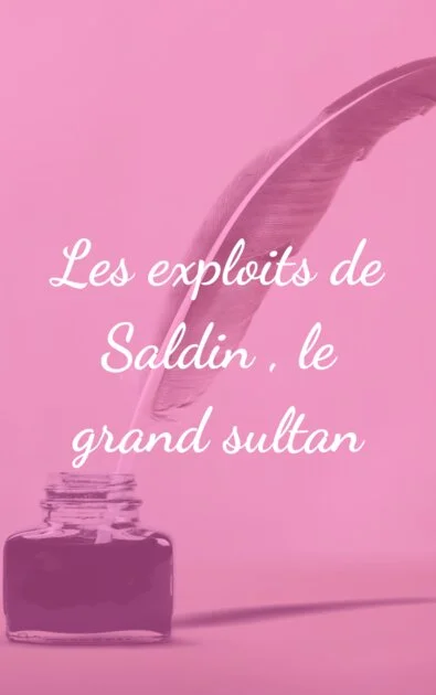 Les exploits de Saldin , le grand sultan