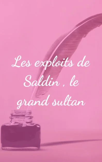 Les exploits de Saldin , le grand sultan