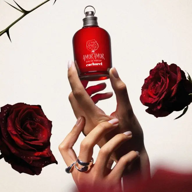 Amor Amor : L'Amour Passionnel
